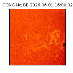 gong - 2026-06-01T16:00:02