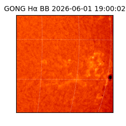 gong - 2026-06-01T19:00:02