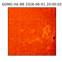 gong - 2026-06-01T20:00:02