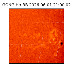 gong - 2026-06-01T21:00:02