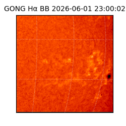 gong - 2026-06-01T23:00:02