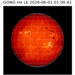 gong - 2026-06-01T01:00:42