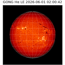 gong - 2026-06-01T02:00:42