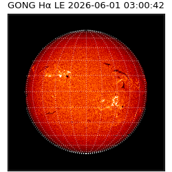 gong - 2026-06-01T03:00:42