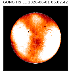 gong - 2026-06-01T06:02:42