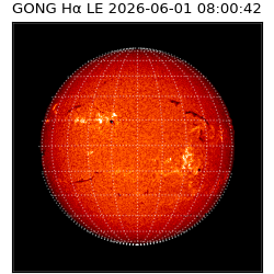 gong - 2026-06-01T08:00:42