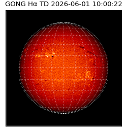 gong - 2026-06-01T10:00:22