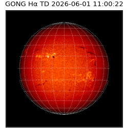 gong - 2026-06-01T11:00:22