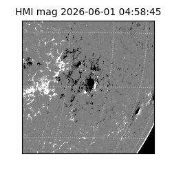 shmi - 2026-06-01T04:58:45