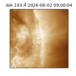 saia - 2026-06-02T09:00:04.842000