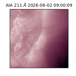 saia - 2026-06-02T09:00:09.624000