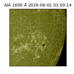 saia - 2026-06-02T03:00:14.123000