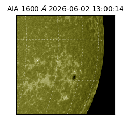 saia - 2026-06-02T13:00:14.124000
