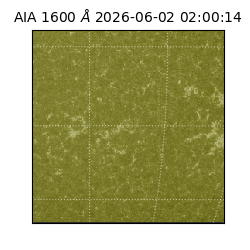 saia - 2026-06-02T02:00:14.123000
