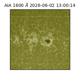 saia - 2026-06-02T13:00:14.124000