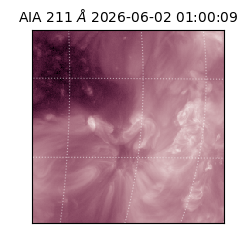 saia - 2026-06-02T01:00:09.624000