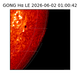 gong - 2026-06-02T01:00:42