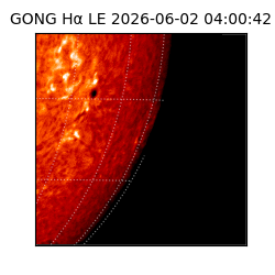 gong - 2026-06-02T04:00:42