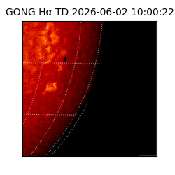 gong - 2026-06-02T10:00:22