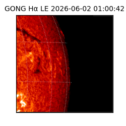 gong - 2026-06-02T01:00:42