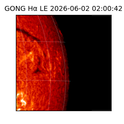 gong - 2026-06-02T02:00:42