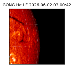 gong - 2026-06-02T03:00:42