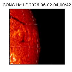 gong - 2026-06-02T04:00:42