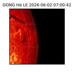 gong - 2026-06-02T07:00:42