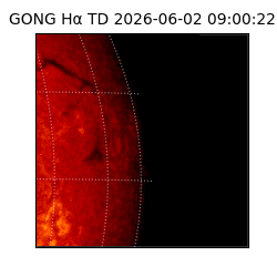 gong - 2026-06-02T09:00:22