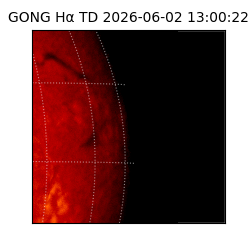 gong - 2026-06-02T13:00:22