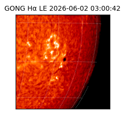 gong - 2026-06-02T03:00:42