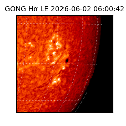 gong - 2026-06-02T06:00:42