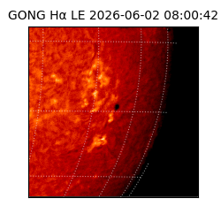 gong - 2026-06-02T08:00:42