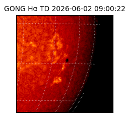 gong - 2026-06-02T09:00:22