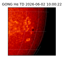 gong - 2026-06-02T10:00:22