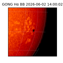 gong - 2026-06-02T14:00:02