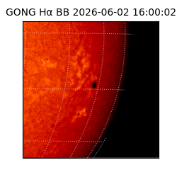 gong - 2026-06-02T16:00:02