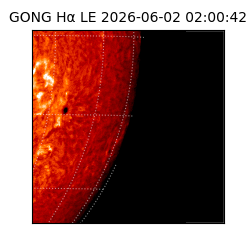 gong - 2026-06-02T02:00:42