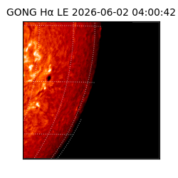 gong - 2026-06-02T04:00:42