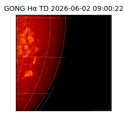 gong - 2026-06-02T09:00:22