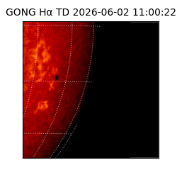 gong - 2026-06-02T11:00:22