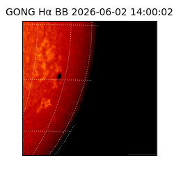 gong - 2026-06-02T14:00:02