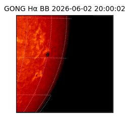 gong - 2026-06-02T20:00:02
