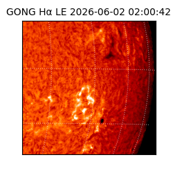 gong - 2026-06-02T02:00:42