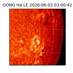 gong - 2026-06-02T03:00:42
