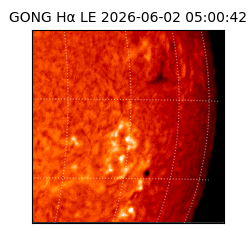 gong - 2026-06-02T05:00:42