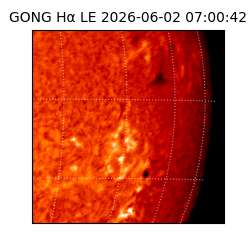 gong - 2026-06-02T07:00:42