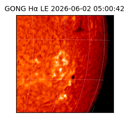 gong - 2026-06-02T05:00:42
