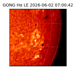 gong - 2026-06-02T07:00:42
