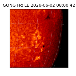 gong - 2026-06-02T08:00:42